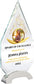 9 1/4" Personalized Glass Plaque for Awards and Trophies, Custom Award for Employee of the Month, Retirement, Leadership and Appreciation Gift P (Design 1)