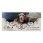 Personalized Pet Memorial with Keepsake Photo on Limestone - 12”x 6”x1.25”